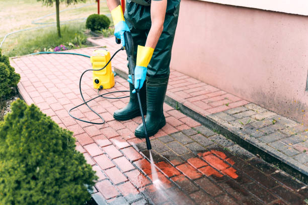 Best Building Exterior Washing  in West Fairview, PA